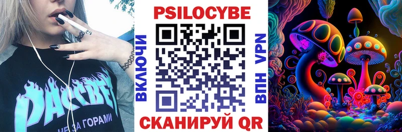 купить закладку  Вилючинск  Галлюциногенные грибы прущие грибы 